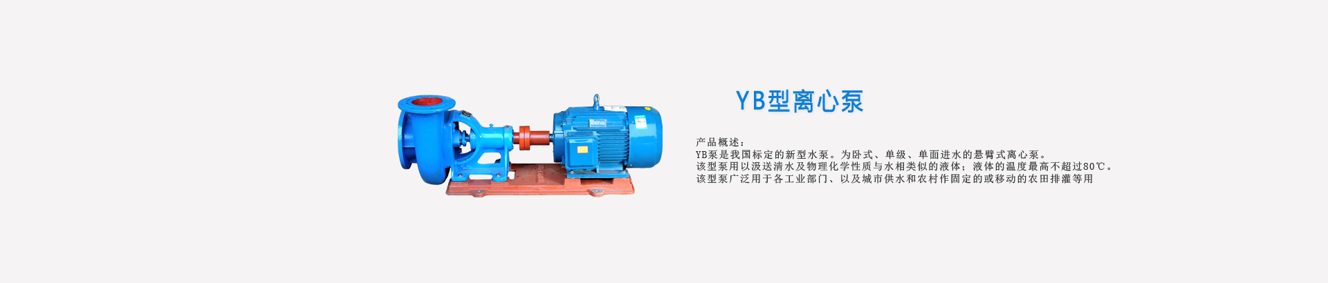 Y|(zh)su